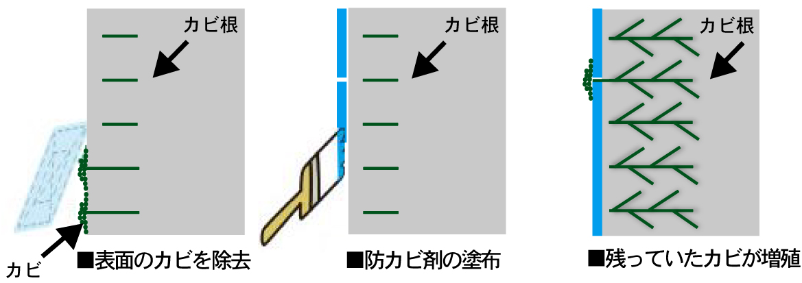 keishinカビ処理革命ページの従来の防カビ塗料処理の画像